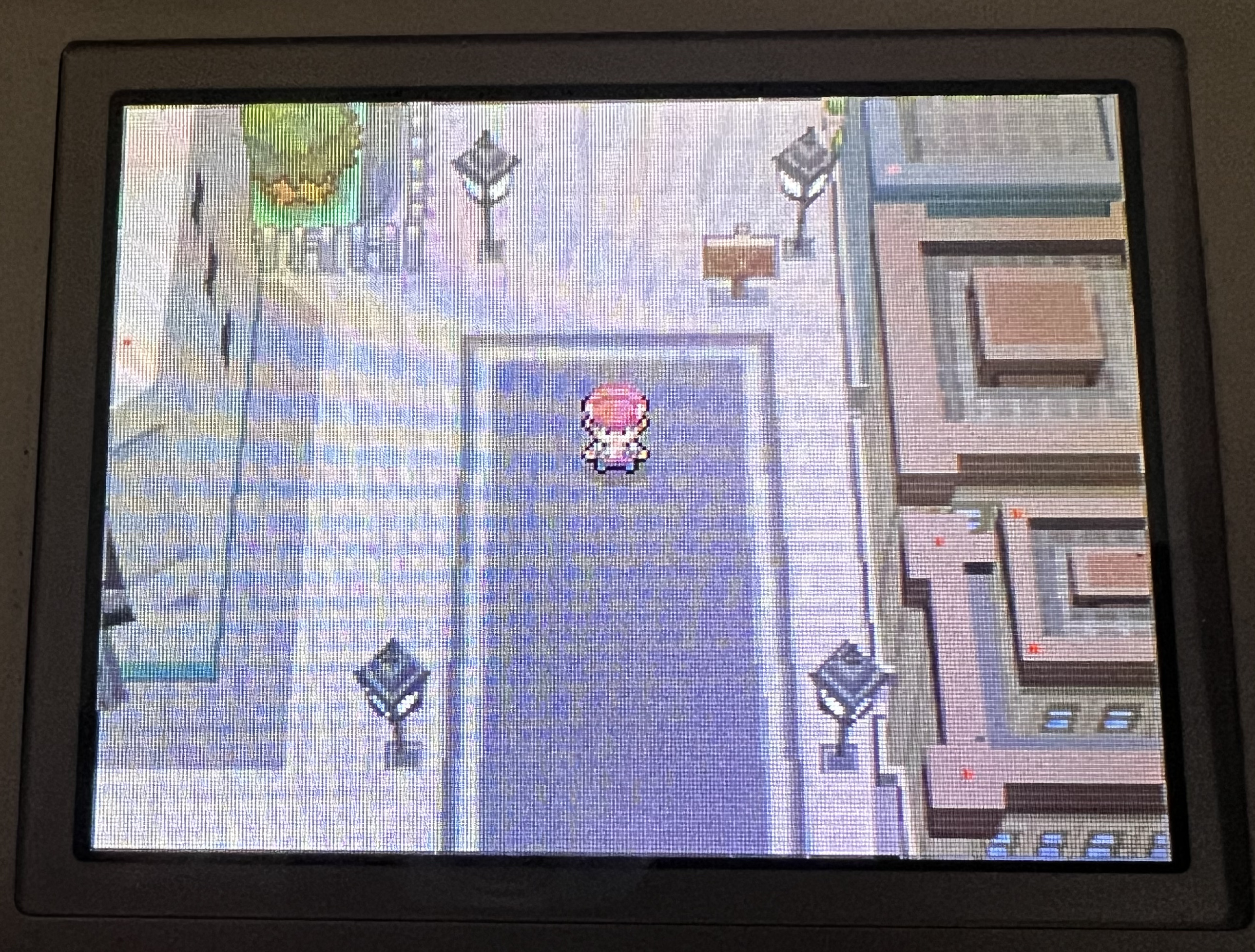 Heading to Eterna City!