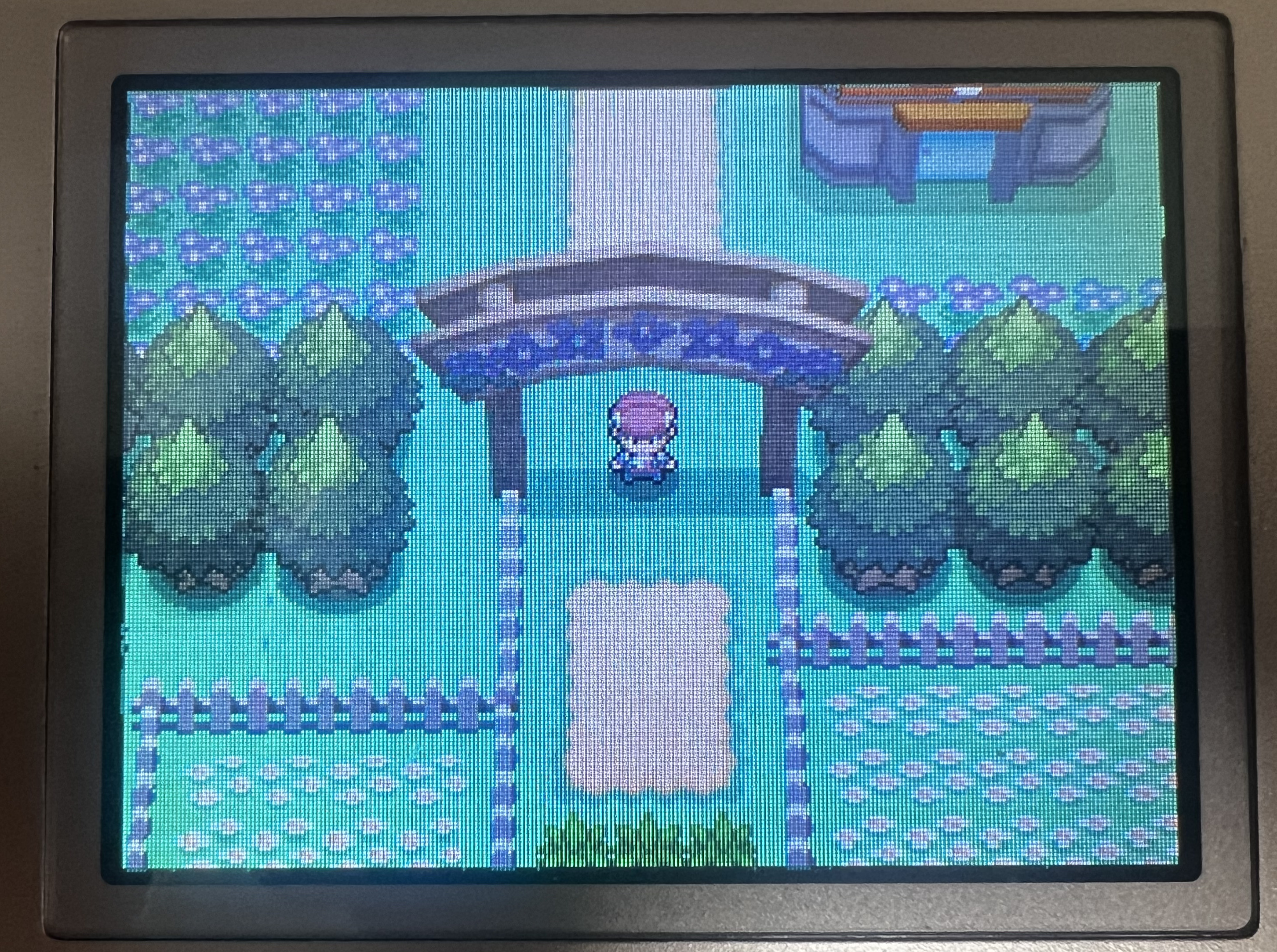 Floroma has a cool sign!