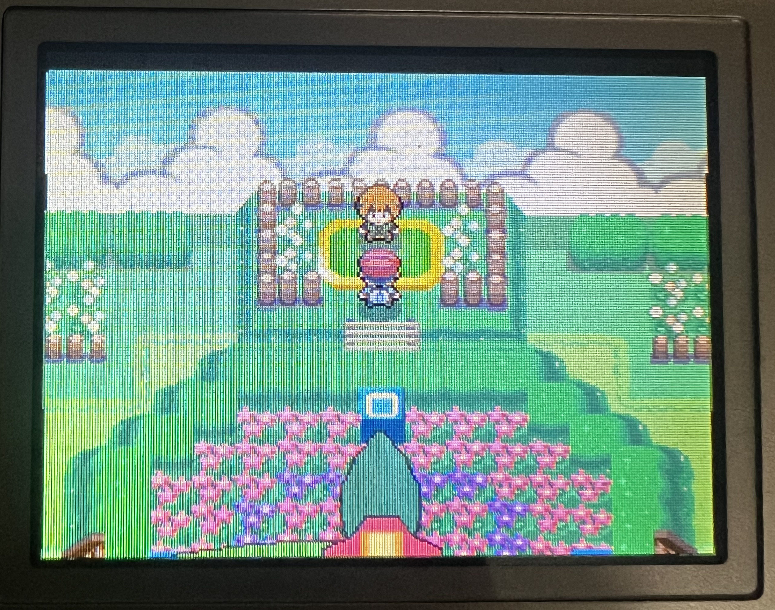 Gardenia&rsquo;s got no chance