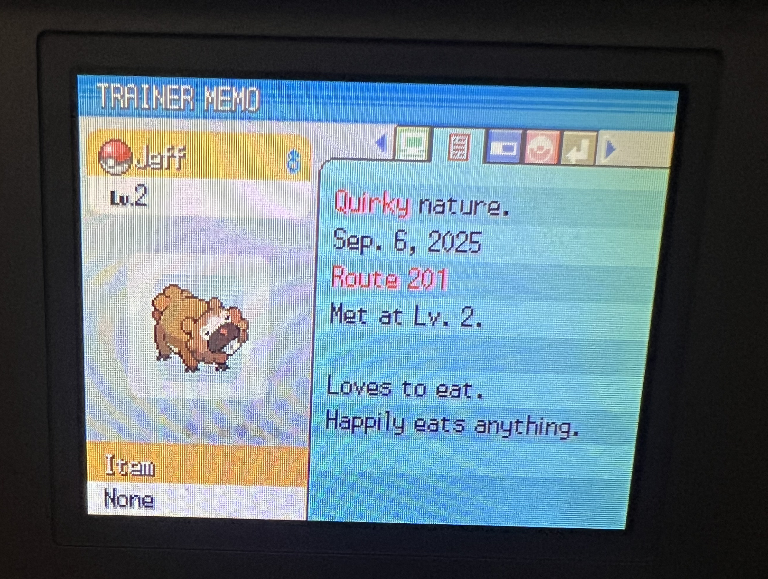 The pokemon summary of Bidoof